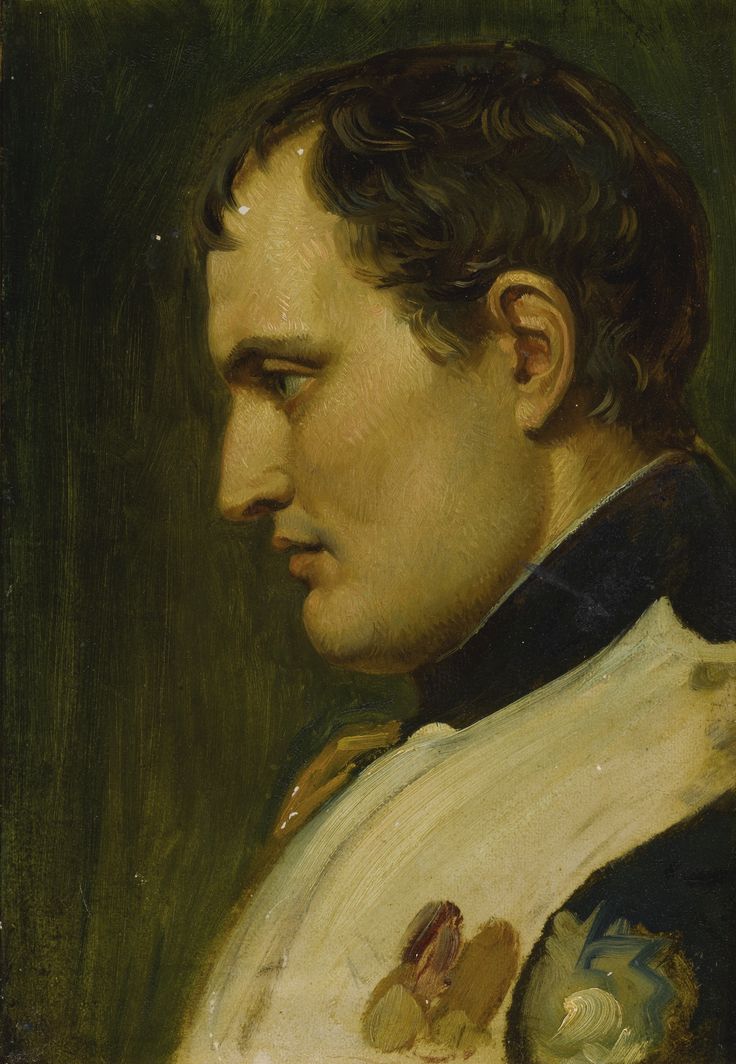 История жизни, войны и любви Наполеона